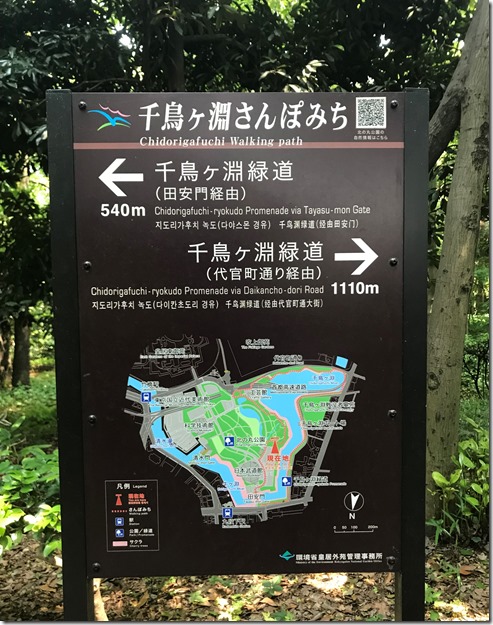 kitanomaru park (4)