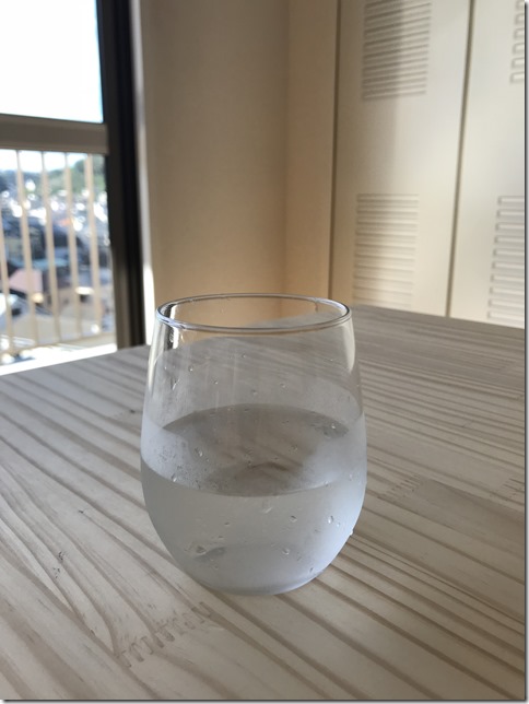 citrus water (3)