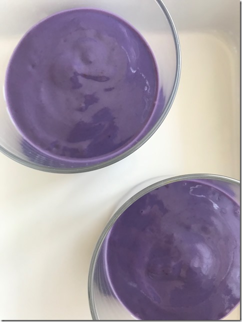 blueberry mousse (4)