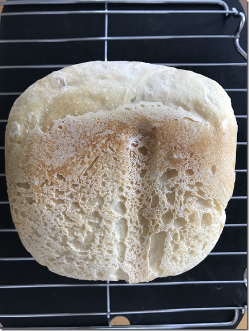 breadmachine wild yeast bread (9)