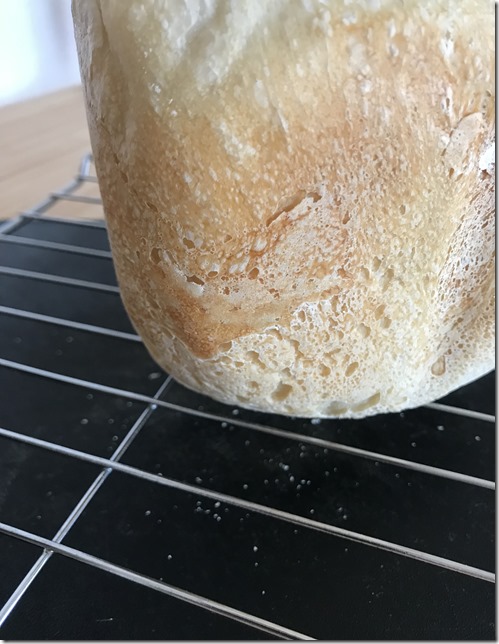 breadmachine wild yeast bread