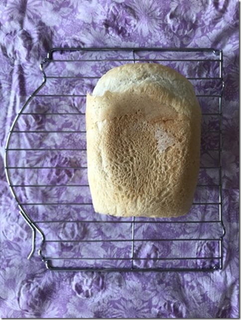 bread machine bread is back (2)