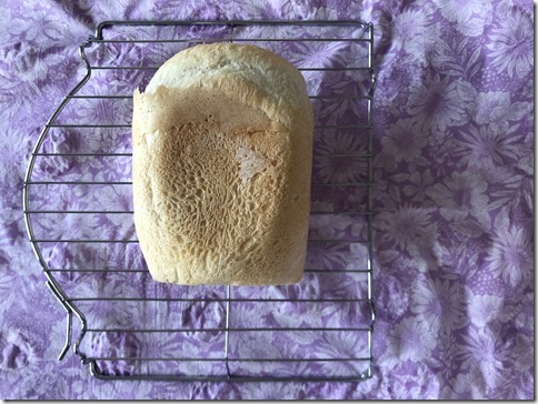 bread machine bread is back (4)