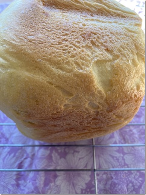 durum flour machine bread (2)