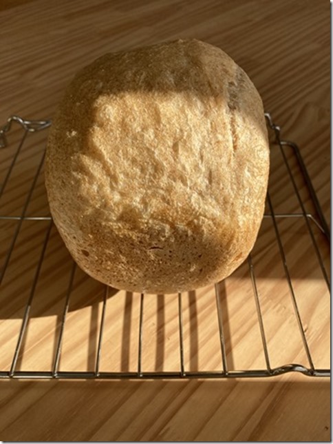 less yeast machine bread (6)