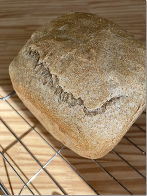 less yeast machine bread (8)