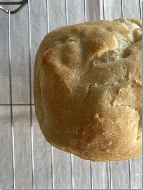 machine bread for mochi lovers (3)
