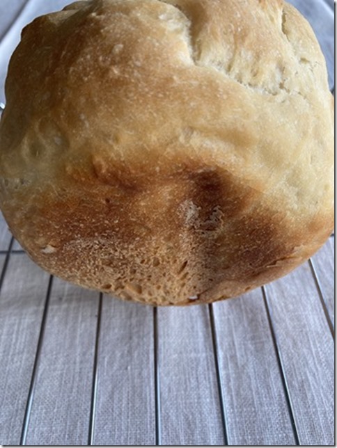 machine bread for mochi lovers (4)