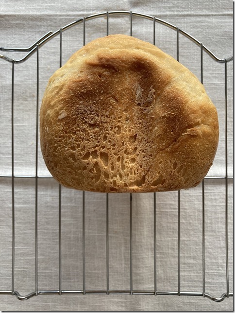 machine bread for mochi lovers (7)