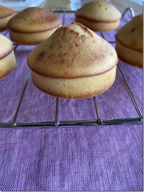 low fat madeleines (8)
