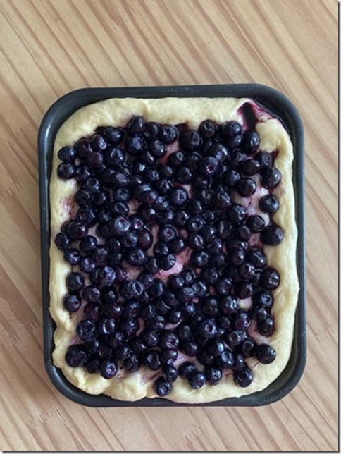 blueberry yeast cake (5)
