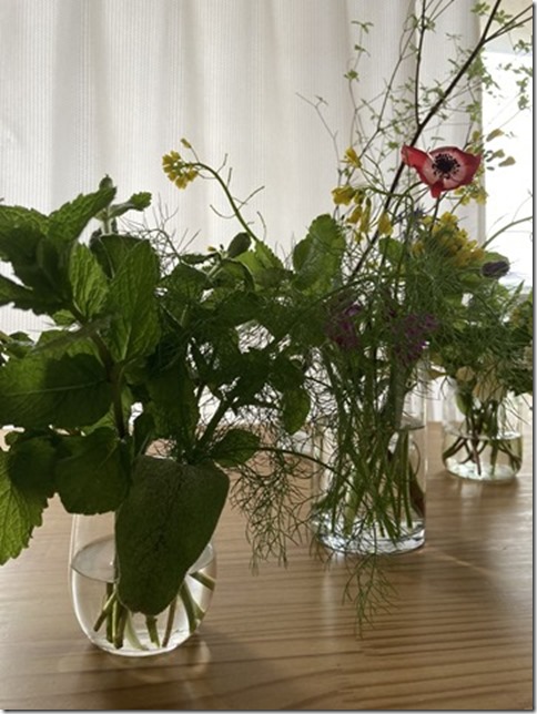 herbs and flowers (2)