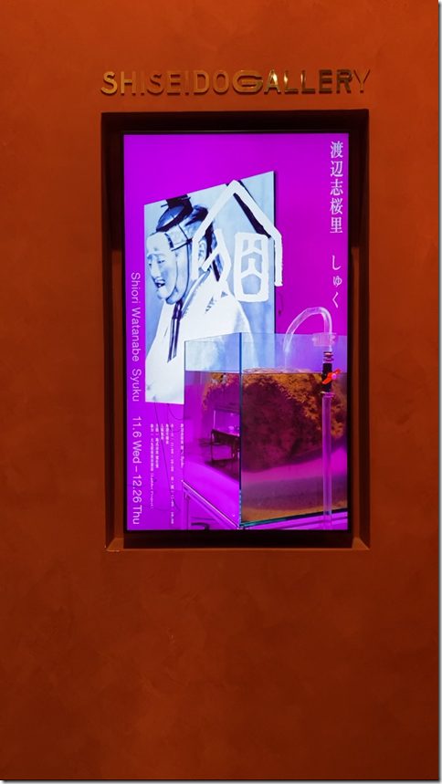 installation art in ginza (12)