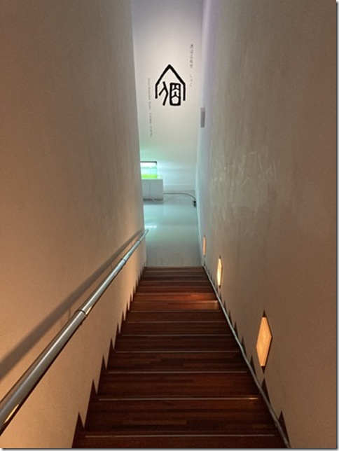 installation art in ginza (28)