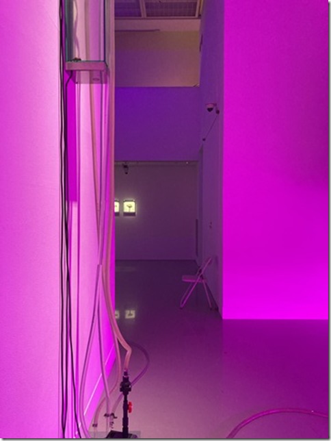 installation art in ginza (33)