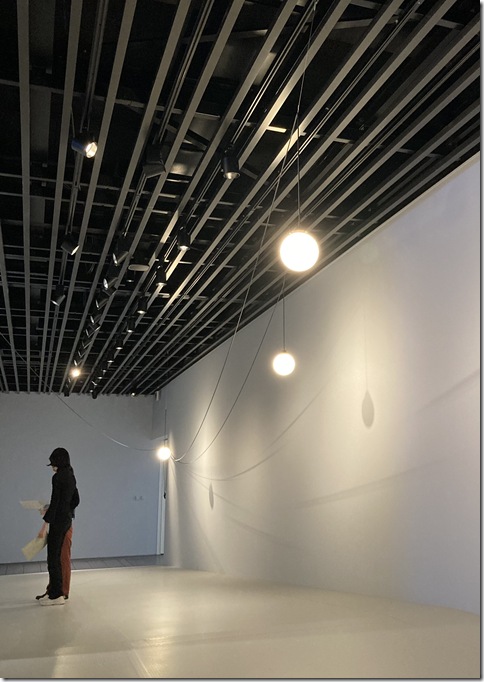 installation art in ginza (4)