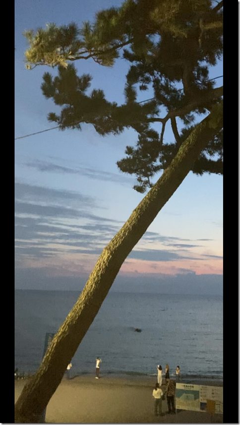 isshiki beach (7)
