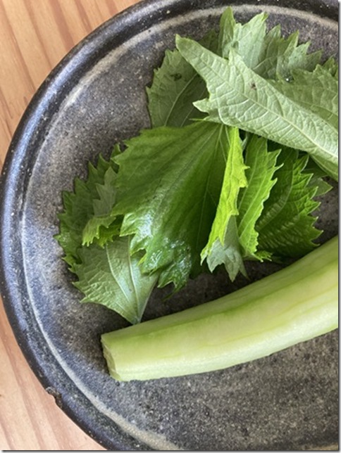 what i ate in august 2025 (14)